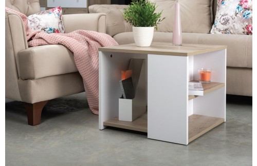 KLUBSKA MIZICA DASA 2 - POŠKODOVANO