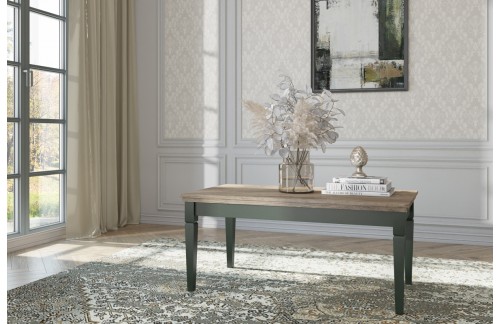 KLUBSKA MIZICA EVORA - ZELENA