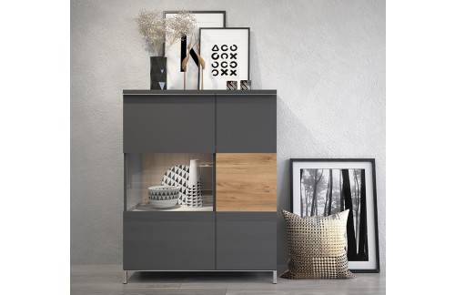 VITRINA RADDA ONYX Z OSVETLITVIJO