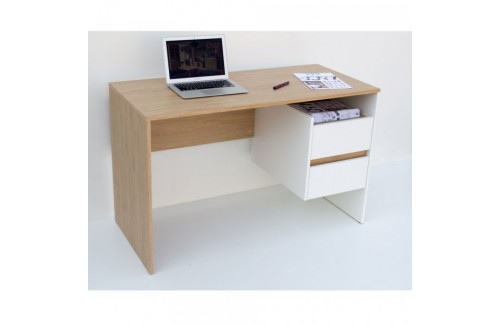 EKSPONAT Računalniška miza LINI