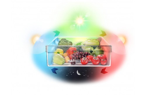 RCNA366E40ZXBN HLADILNIK BEKO