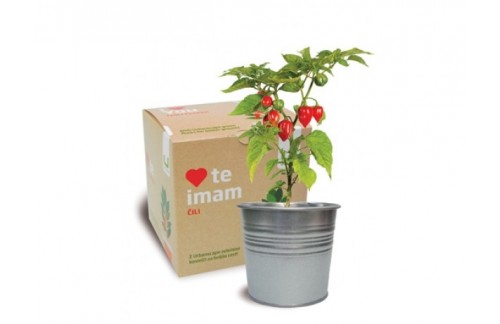 Darilni komplet Rad te imam!