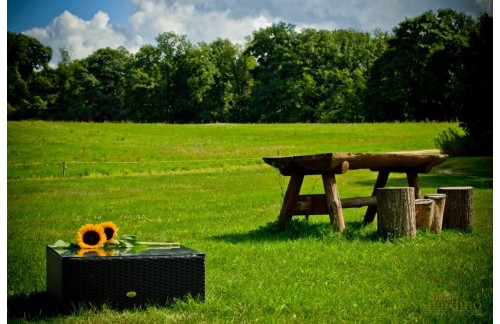 Vrtna mizica Zelora 70x70x30 cm (črna)